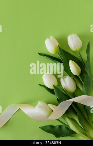 Elegant spring composition featuring white tulips arranged on a soft green background with a flowing satin ribbon. Easter or Mothers Day celebration Stock Photo