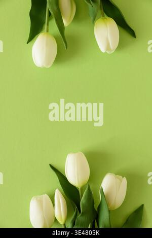 Elegant spring composition featuring white tulips arranged on a soft green background with a flowing satin ribbon. Easter or Mothers Day celebration Stock Photo