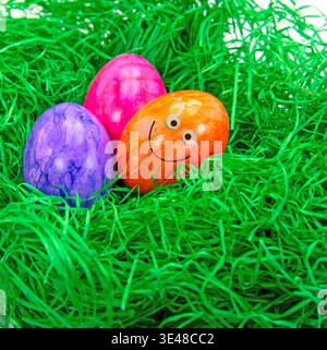 Easter eggs in the grass with funny faces Stock Photo