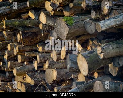 Hovingham, North Yorkshire Stock Photo