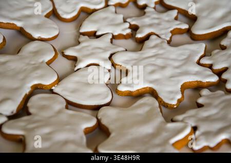Assorted Iced Gingerbread Cookies image Stock Photo
