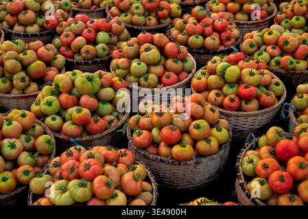 View of vibrant red, orange, and green tomatoes piled high in woven baskets, creating a colorful display of fresh produce, Sylhet, Sylhet Division, Ba Stock Photo