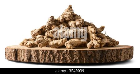 pile of fresh ginger roots on thick natural wood bark slice isolated white background, organic ingredients side view Stock Photo