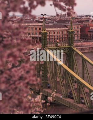 View of the Liberty Bridge's green structure, framed by blooming pink cherry blossoms, contrasts against the urban backdrop, Budapest, Hungary. Stock Photo