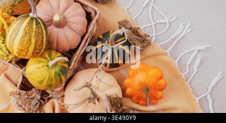 Autumn harvest still life with basket and blanket Stock Photo