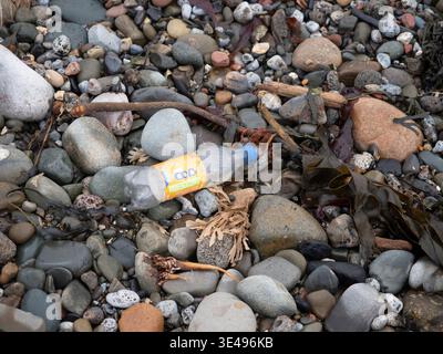 A plastic bottle lies on a rocky beach amongst seaweed and driftwood. Stock Photo