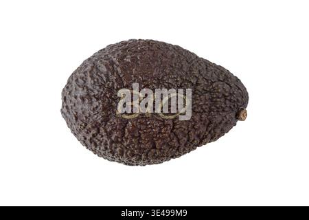 Whole brown organic avocado Hass isolated on white background. Bio ripe avocado. Fruits collection Stock Photo