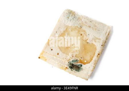 White, green and black mold on rotten goat cheese slices. Spoiled goat cheese with fenugreek seeds isolated on white background. Selective focus on mo Stock Photo