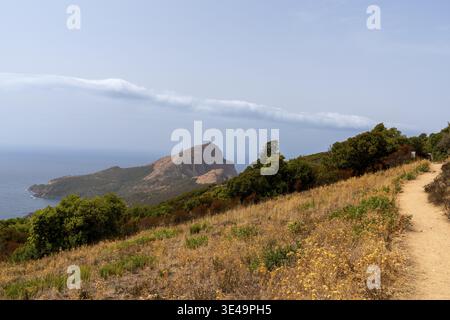 Coastal path winding through dry grass and green trees with mountains and sea, corsica, france Stock Photo