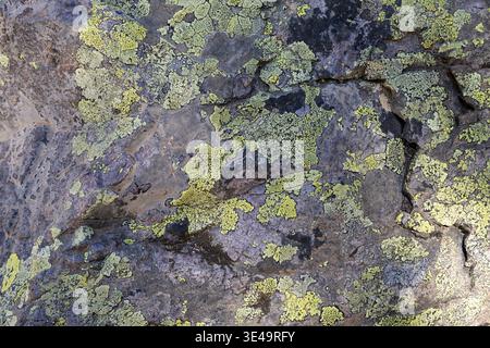 Weathered limestone rock as texture or background Stock Photo