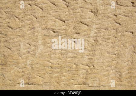 Close-up showing an eroded natural sandstone surface with earthy tones Stock Photo