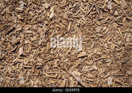 Fine wood chips in sunlight on the floor as background or texture Stock Photo