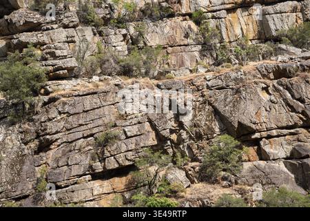 Layered granite rocks with trees as texture or background Stock Photo