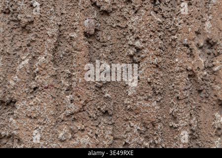 Rough brown stucco concrete wall presenting natural texture and grunge background Stock Photo