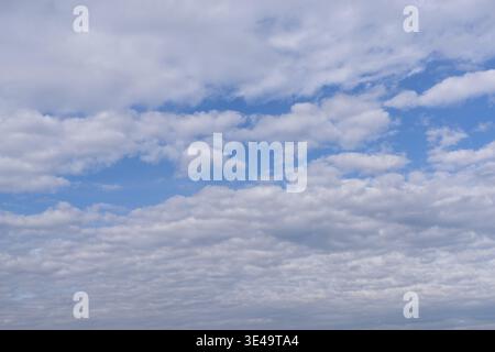 Scenic view of fluffy white cumulus clouds drifting across a clear blue sky Stock Photo