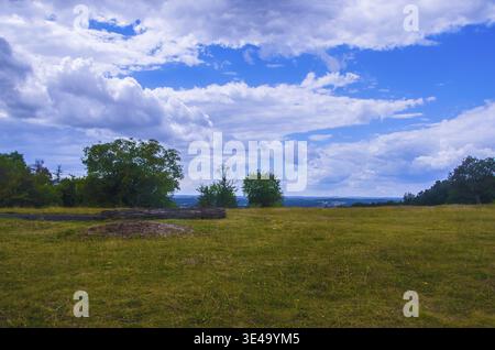 Expansive green meadow with scattered trees under a bright blue sky filled with white clouds Stock Photo