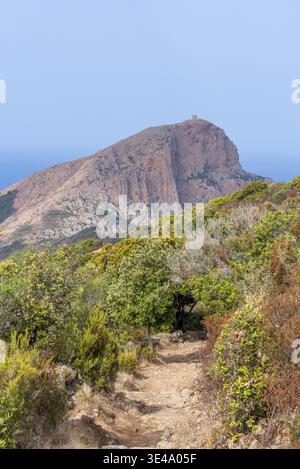 Old dirt path winding through a serene autumn forest illuminated by the