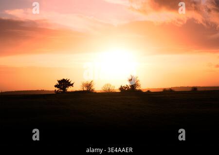Bright Golden Sunset Over Rural Field With Tree Silhouettes Stock Photo