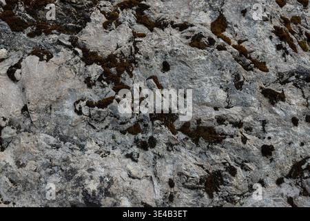 Rock surface with scattered moss patches in a natural abstract pattern, suitable as a stone background or rugged outdoor texture. Stock Photo