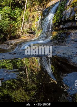 Liffey Falls, Tasmania Stock Photo