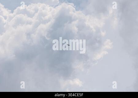 A solitary bird flying across a vast, cloudy sky, capturing a sense of freedom and tranquility in a natural, open-air setting. eagle silhouette Stock Photo