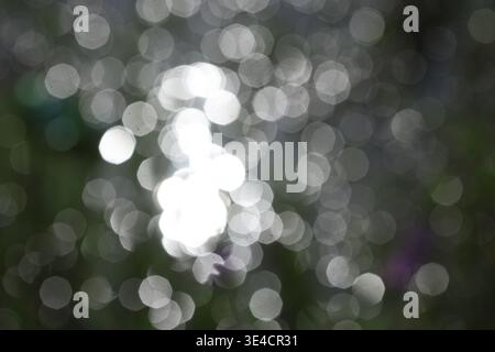 defocused light on the background. Defocused bokeh. Stock Photo