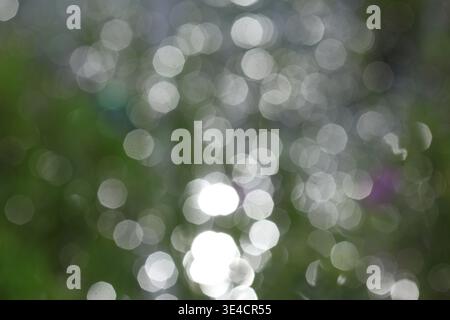 defocused light on the background. Defocused bokeh. Stock Photo