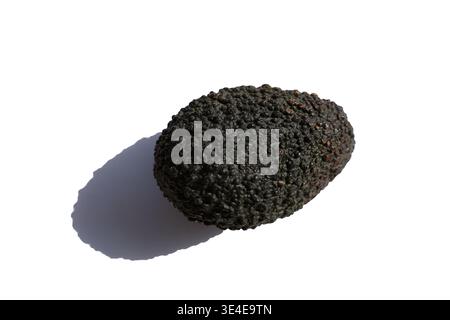 Two Ripe Hass Avocados Isolated on a Pure White Background for Culinary Design Stock Photo