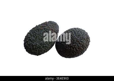 Two Ripe Hass Avocados Isolated on a Pure White Background for Culinary Design Stock Photo