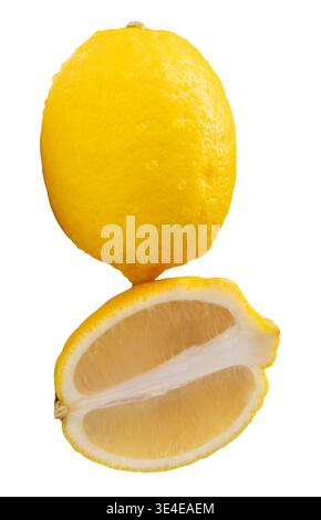 Front view of ripe yellow lemon fruit with half in ellipse shape in stack is isolated on white background with clipping path. Stock Photo