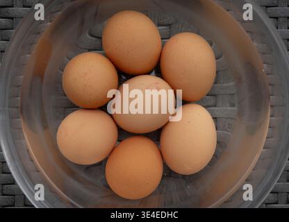 Top view of 7 hard-boiled eggs submerged in cold water in a transparent container placed on a plastic floor. Stock Photo