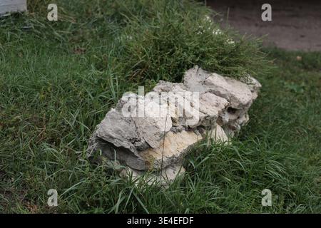 sagging quarried limestone block landscaping wall with rich green grass, foliage overgrowing (close-up) Stock Photo