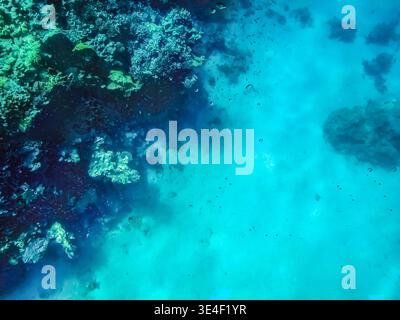 Turquoise marine abstract pattern with copy space. Underwater life in the Red Sea at depth Stock Photo