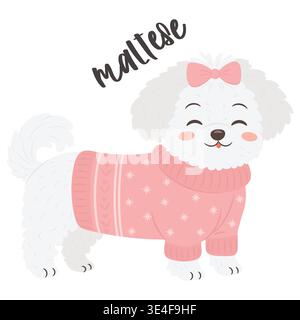 Cute maltese dog wearing pink sweater and bow in adorable fashion style illustration Stock Vector