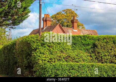 A charming red brick English house with tall chimneys peeks over a lush manicured green hedge under a bright blue sky with soft white clouds. Stock Photo
