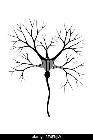Stylized Neuron with Branching Dendrites and Axon Stock Vector