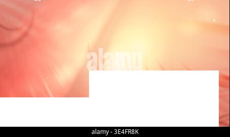 Summer background with soft palm shadow overlay and gradient sunset colors. Blurred tropical leaf silhouettes on yellow and pink bg with sparkling light particles. Dreamy beach vacation poster design Stock Vector
