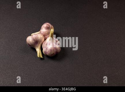 Three fresh garlic bulbs featuring distinctive purple striped skin, harvested and ready for culinary application, resting on a dark, textured surface Stock Photo