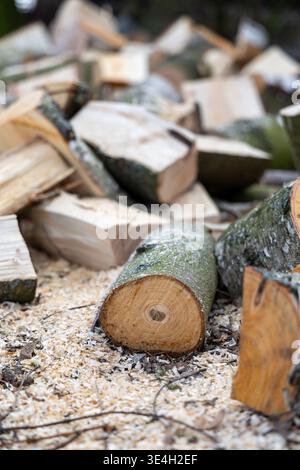 Close up of chopped firewood logs lying on ground covered with sawdust with large blurry pile of split wooden timber blocks in background outdoor Stock Photo