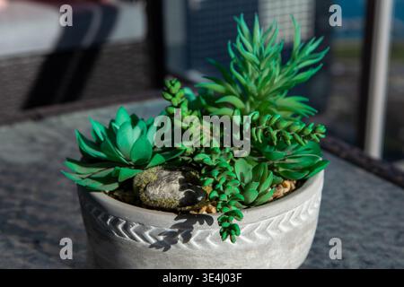 A collection of artificial plants is arranged in a pot sitting on a stone surface. Sunlight highlights the green leaves and adds depth to the scene du Stock Photo
