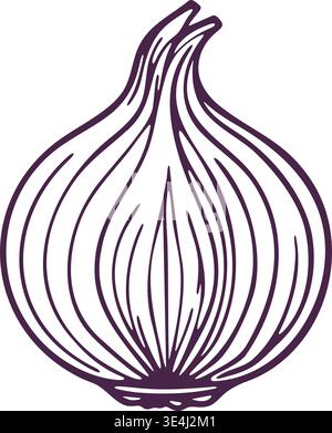 Detailed line illustration of a whole onion bulb with layered curved lines and tapered top. Stock Vector