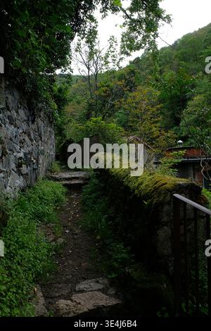 An old, narrow dirt path between moss-covered stone walls, Thiers Stock Photo
