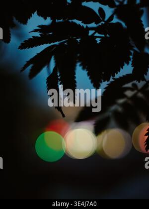 Dark leaf silhouettes frame soft, colorful bokeh from city lights at night, with subtle motion blur and shallow depth of field creating a moody, abstr Stock Photo