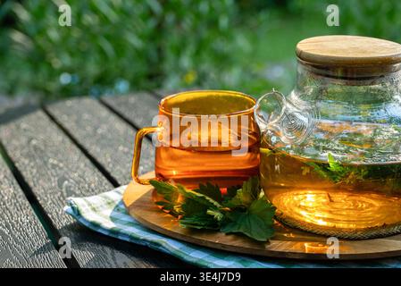 Sunlit glass teapot and amber cup with fresh herbs on a wooden table, evoking calming herbal detox, natural care, urinary tract support, and balanced Stock Photo
