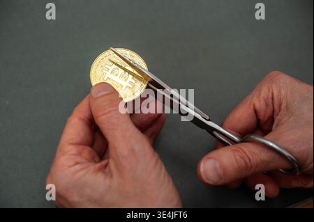 Hands cutting a Bitcoin coin with scissors, symbolizing cryptocurrency loss, risk, and financial uncertainty in digital markets Stock Photo