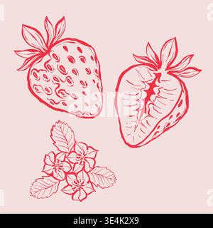 Hand-drawn lineart strawberries and flowers illustration on pink background Stock Vector