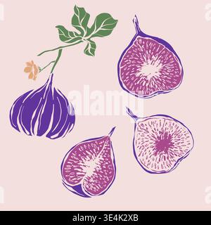 Colorful illustration of figs with leaves and flowers on a pink background Stock Vector