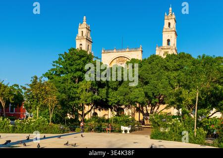 Merida Cathedral, or Cathedral of San Ildefonso, seen behind lush vegetation on Plaza Grande in Merida, Yucatan, Mexico. Stock Photo
