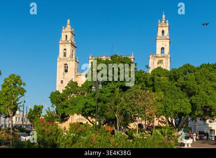 Merida Cathedral, or Cathedral of San Ildefonso, seen behind lush vegetation on Plaza Grande in Merida, Yucatan, Mexico. Stock Photo