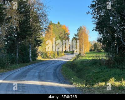 Scenic autumn road winding through colorful trees in northern Sweden Stock Photo